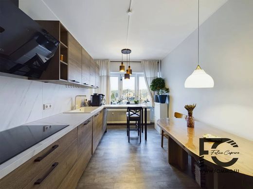 Appartement à Bascharage, Käerjeng