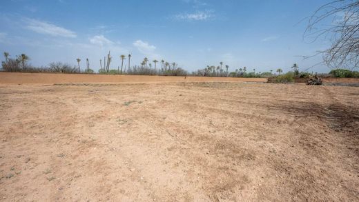 Teren w Marrakesz, Marrakech