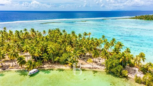 Island in Tahaa, Îles Sous-le-Vent