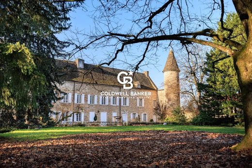 Zamek w Vérizet-Fleurville, Saône-et-Loire