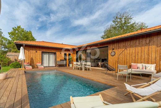 호화 저택 / Salles, Gironde