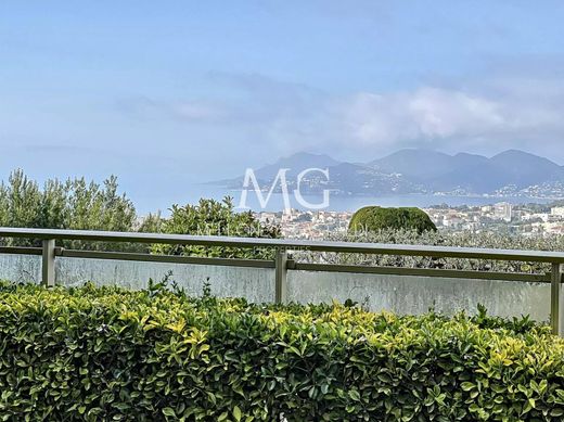 Apartment / Etagenwohnung in Le Cannet, Alpes-Maritimes