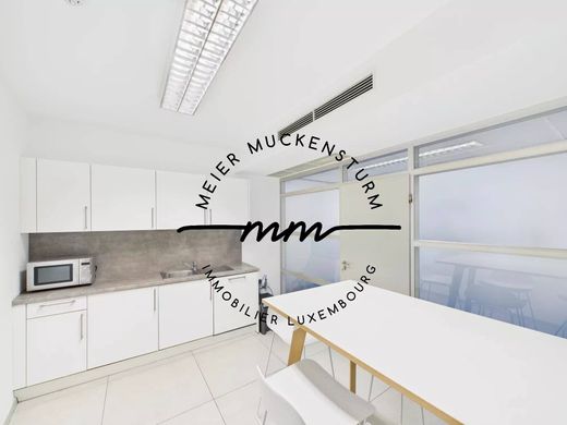 Ufficio a Lussemburgo, Ville de Luxembourg