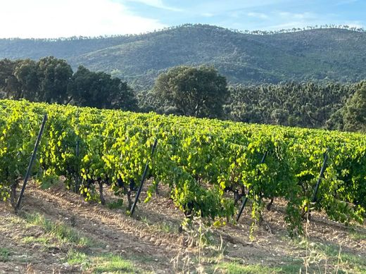 Rural or Farmhouse in Saint-Tropez, Var