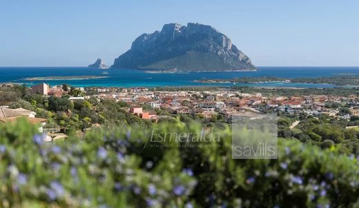 Appartement in Loiri Porto San Paolo, Provincia di Sassari