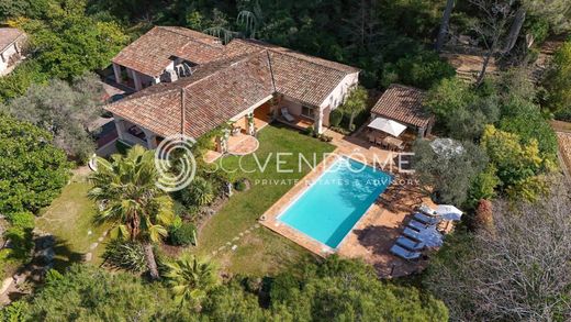 Villa a Cannes, Alpi Marittime