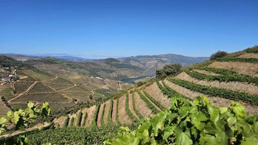 Terreno a Ervedosa do Douro, São João da Pesqueira