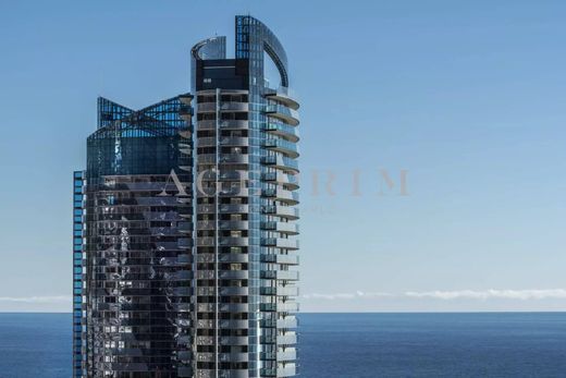Apartment / Etagenwohnung in Monaco