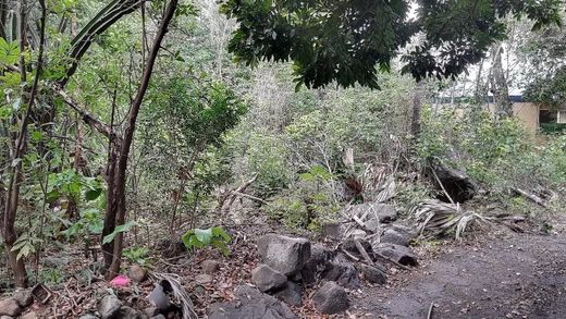 Land in Saint-Louis, Réunion