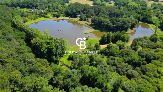 Luxury home in Angresse, Landes