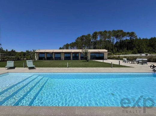 Casa di lusso a Castro Daire, Distrito de Viseu