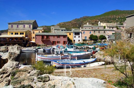 Terreno a Centuri, Corsica settentrionale
