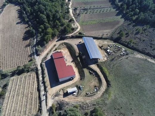 Rural or Farmhouse in Ginestas, Aude