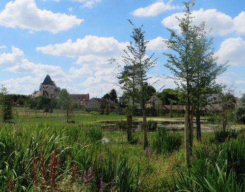 Luksusowy dom w Plaisir, Yvelines