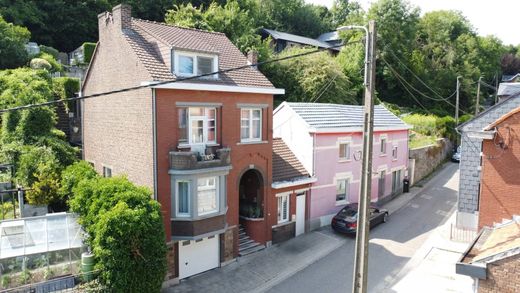 Luxury home in Bassenge, Liège Province