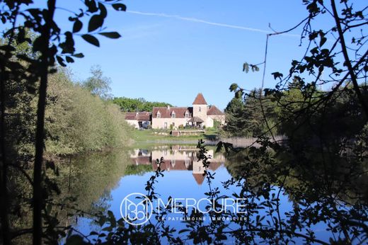 Palace in Tournon-Saint-Martin, Indre