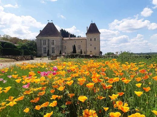 Castle in Casteljaloux, Lot-et-Garonne