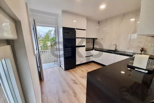 호화 저택 / Tentúgal, Montemor-O-Velho