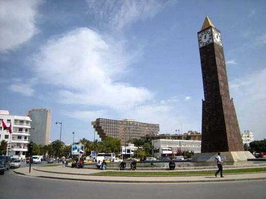 Teren w Tunis, Gouvernorat de Tunis