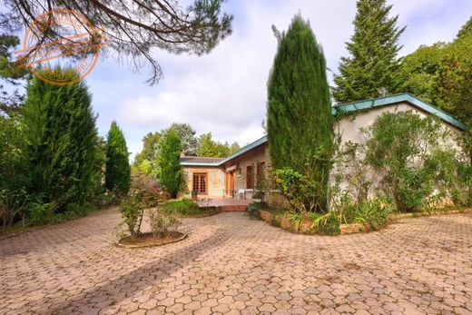 Luxus-Haus in Saint-Cyr-au-Mont-d'Or, Rhône