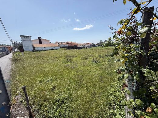 Land in Fiães, Santa Maria da Feira