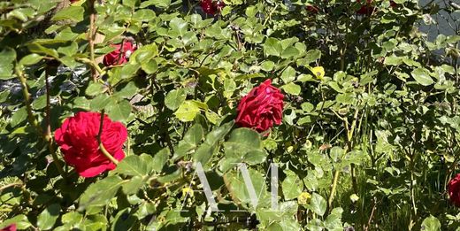Maison de luxe à Andernos-les-Bains, Gironde