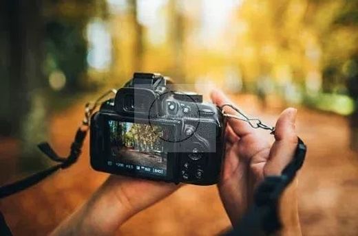 Участок, Tremblay-en-France, Seine-Saint-Denis