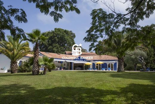 Villa Saint-André-de-Seignanx, Landes