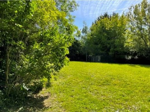 地皮  Jouy-en-Josas, Yvelines