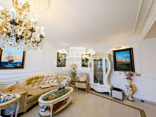 Daire Nice, Alpes-Maritimes