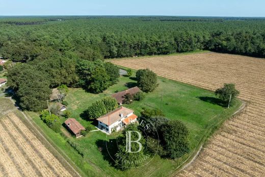Maison de luxe à Soustons, Landes