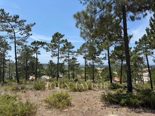 أرض ﻓﻲ Carvalhal, Grândola