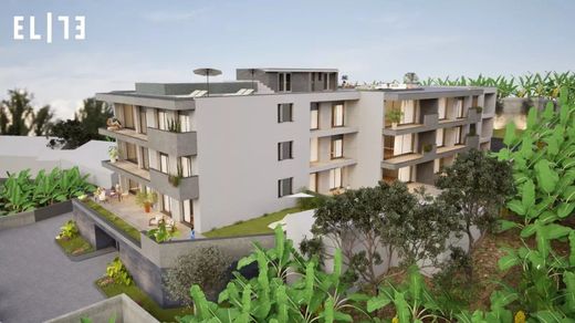 Apartment in Câmara de Lobos, Madeira