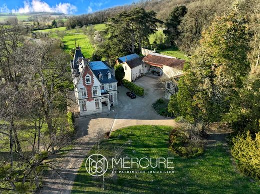 Chinon, Indre-et-Loireの城