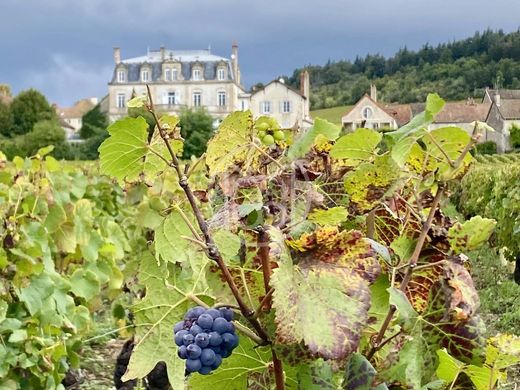 Zamek w Mercurey, Saône-et-Loire