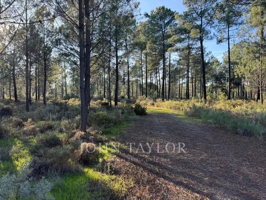 Участок, Grândola, Distrito de Setúbal