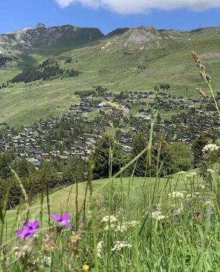 샬레 / Verbier, Entremont District