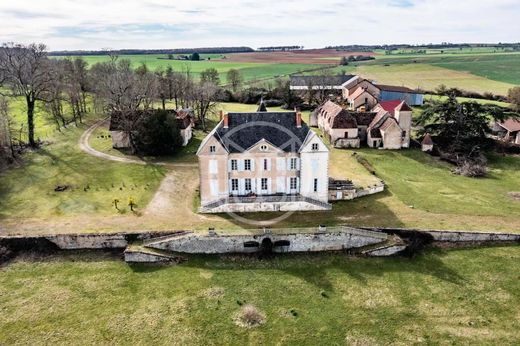 Zamek w Neuville-lès-Decize, Nièvre