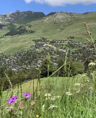 샬레 / Verbier, Entremont District