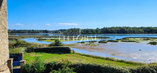 Luxe woning in Pluneret, Morbihan