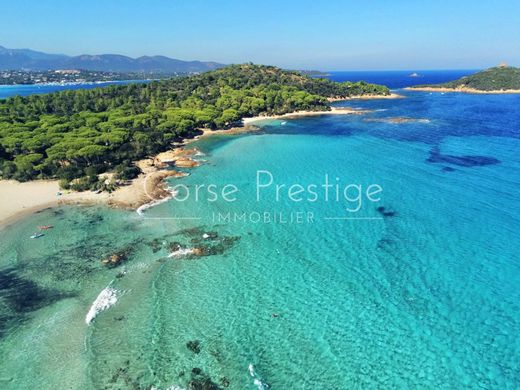 빌라 / Porto-Vecchio, South Corsica