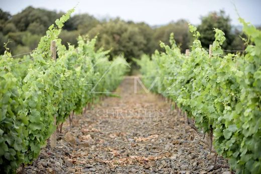 ﻣﻨﺰﻝ ﺭﻳﻔﻲ/ ﺑﻴﺖ ﻤﺰﺭﻋﺔ ﻓﻲ Faugères, Hérault