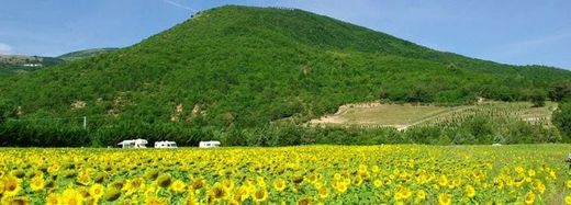 Otel Cagli, Pesaro e Urbino ilçesinde