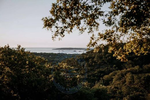 빌라 / 그리모드, Var