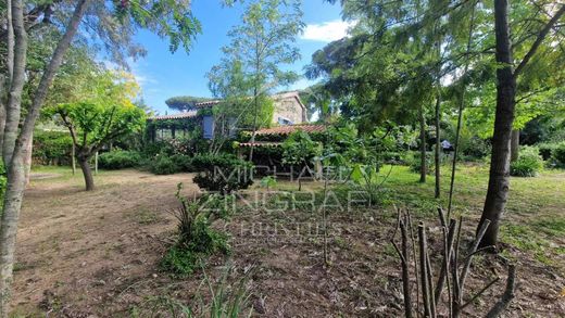 منزل ﻓﻲ سان تروبيه, Var