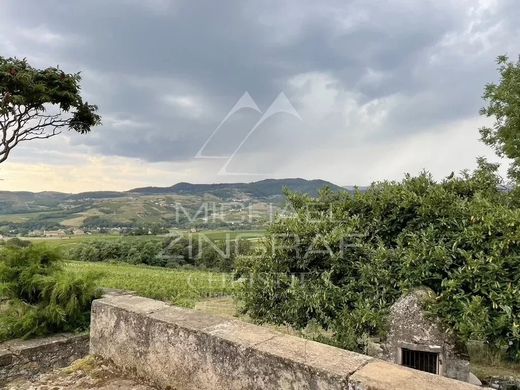 Rural or Farmhouse in Odenas, Rhône