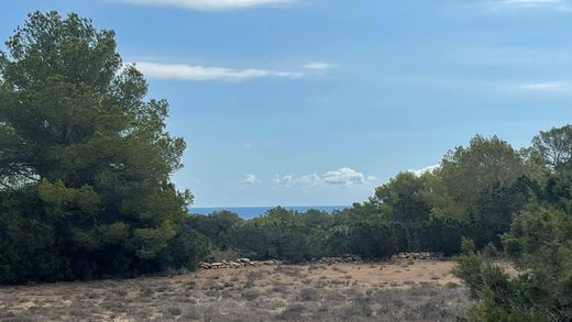 Αγροτεμάχιο σε Formentera, Illes Balears
