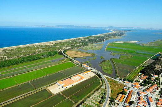Αγροτεμάχιο σε Comporta, Alcácer do Sal