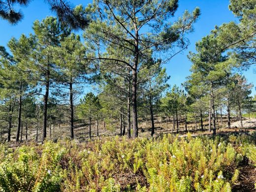 Terrain à Comporta, Alcácer do Sal