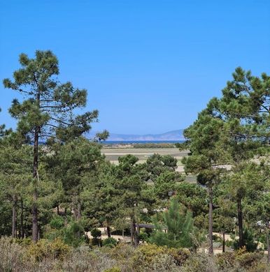 Terreno a Comporta, Alcácer do Sal